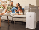 Daikin -  Air Purifier MC55YPVM - Alpha Omega Air Store
